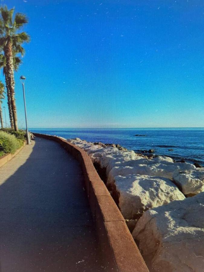 Pin Rollan Saint-Mandrier-sur-Mer